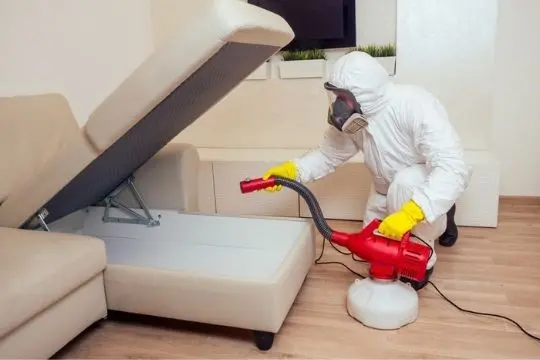 bed bug extermination stouffville