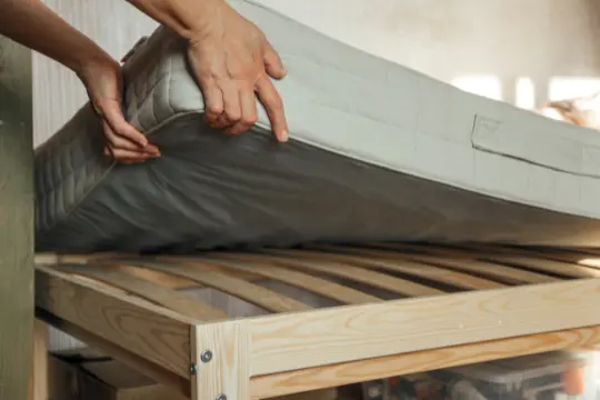 bed bug preparation stouffville