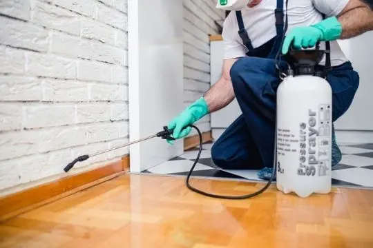 bed bug prevention stouffville