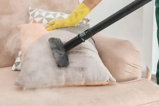 steam bed bug treatment